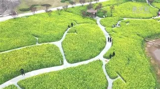 !?{詶唙梛??